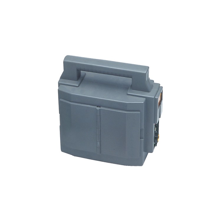 Fender 0699003000 Passport Battery Musician