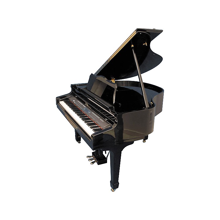 Aeolian 47 Grand Case Digital Player Piano Musician's Friend