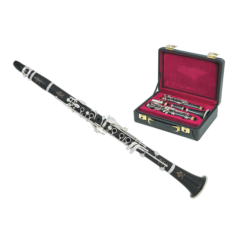 UPC 888365089362 product image for Buffet Crampon R13 Professional Bb Clarinet with Silver Plated Keys | upcitemdb.com