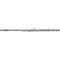 Powell-Sonare 601 Sonare Series Flute C Foot / Open Hole / Offset GB Foot / Open Hole / Inline G