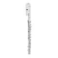 Altus 900 Series Handmade Alto Flute Straight HeadjointBoth Curved and Straight Headjoints
