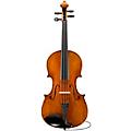 Eastman Albert Nebel VA601 Series+ Viola Outfit With Case and Bow 15.5 in.15 in.