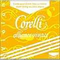 Corelli Alliance Vivace Violin E String 4/4 Size Light Ball End4/4 Size Heavy Ball End