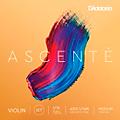 D'Addario Ascente Violin String Set 4/4 Size, Medium1/16 Size, Medium