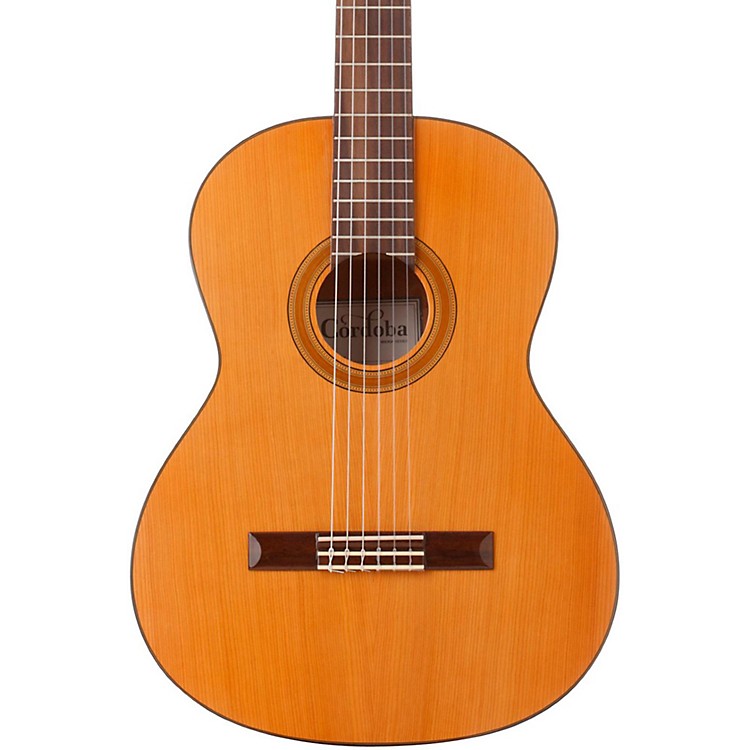 nylon string classical guitar