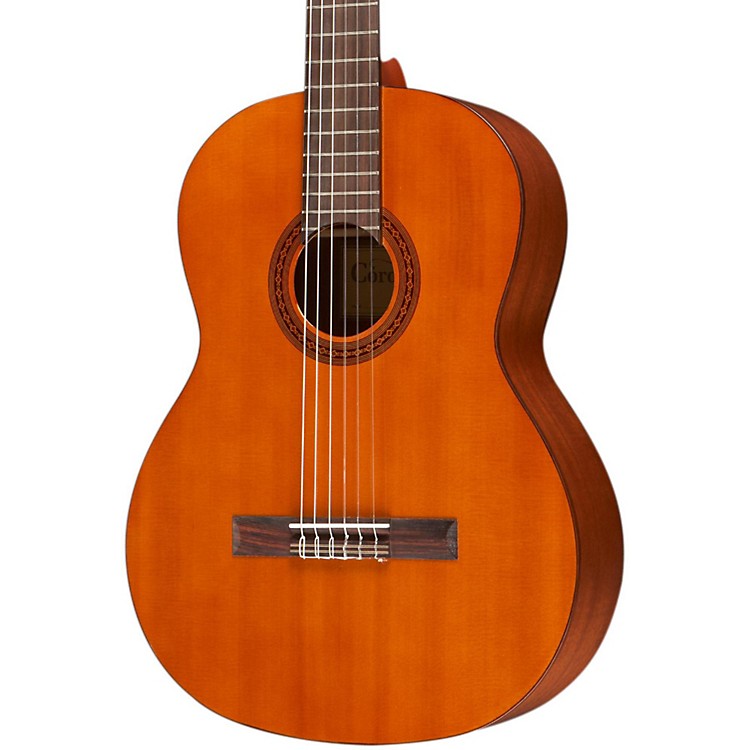 A Nylon Acoustic 29