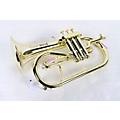 Cool Wind CFG-200 Metallic Series Plastic Bb Flugelhorn Condition 3 - Scratch and Dent Lacquer 194744889455Condition 3 - Scratch and Dent Lacquer 197881084127