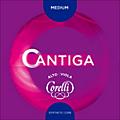 Corelli Cantiga Viola String Set Full Size Heavy Loop EndFull Size Medium Loop End