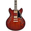 D'Angelico Deluxe DC Semi-Hollow Electric Guitar Satin Trans WineSatin Brown Burst