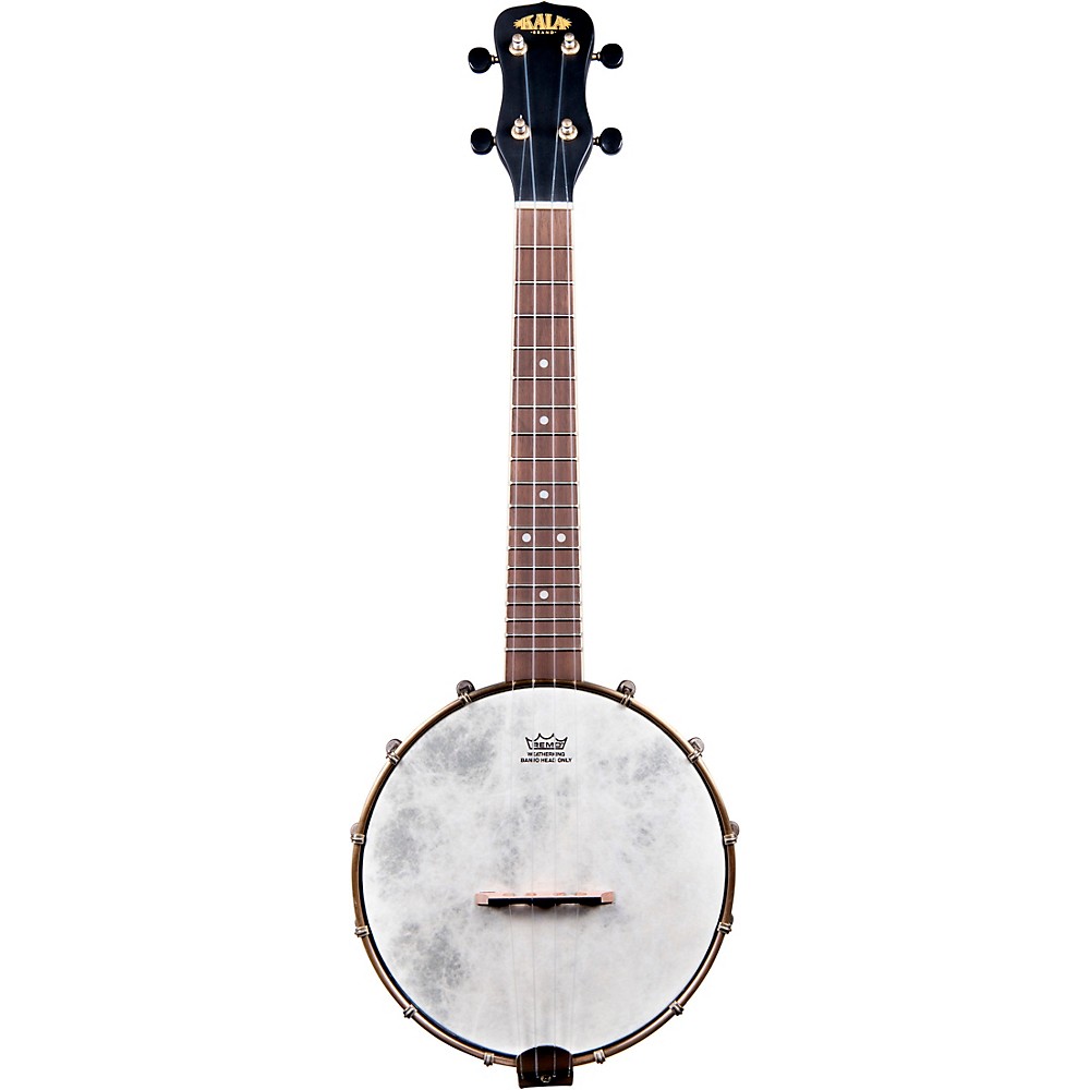 banjo in South Africa Value Forest