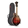 The Loar LM-310F Hand-Carved F-Style Mandolin with Bag Vintage Brown