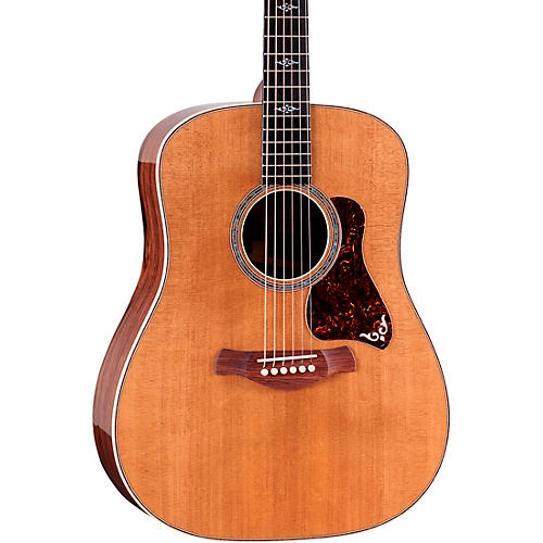 Taylor Gold Label Acoustic Guitars
