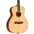 Fender PM-TE Standard Travel Acoustic-Electric Guitar Condition 2 - Blemished Natural 190839662521Condition 2 - Blemished Natural 190839886880