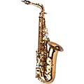 P. Mauriat PMXA-67R Series Professional Alto Saxophone Dark LacquerCognac Lacquer