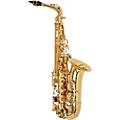 P. Mauriat PMXA-67R Series Professional Alto Saxophone Gold LacquerGold Lacquer