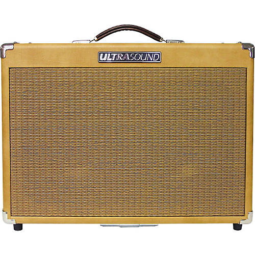 Ultrasound Pro100 100W Acoustic Guitar Amp Musician's Friend