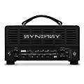 Synergy SYN-20IR Tube Amp Head and Friedman BE-Deluxe Module Bundle