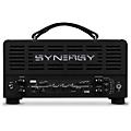 Synergy SYN-20IR Tube Amp Head and Friedman DS Module Bundle