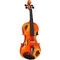 Rozanna's Violins Sunflower Delight Series Violin Outfit 3/4 Size1/8 Size