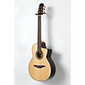 nylon guitar 24 frets takamine