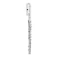 Altus 1000 Series Handmade Alto Flute Both Curved and Straight HeadjointsCurved Headjoint
