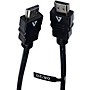 V7 10ft HDMI Cable Black