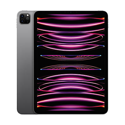 Apple 11-inch iPad Pro M2 Wi-Fi 1TB - Space Gray