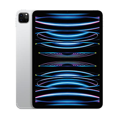 Apple 11-inch iPad Pro M2 Wi-Fi + Cellular 256GB - Silver