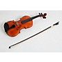Open-Box Knilling 116VN Sebastian Paris Artist Violin Outfit Condition 3 - Scratch and Dent 4/4 194744292040