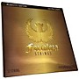 FORTALEZA GUITARS 12 String Phosphor Bronze Acoustic Guitar Strings Extra Light (10-46)