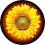 Glowtronics 12 in. Sunflower Glow-in-the-Dark DJ Slipmats