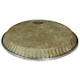 Remo 12.5In Fiberskyn D1 Conga Head 12.5 in.
