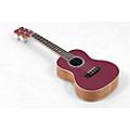 Cordoba 15C Concert Ukulele - Condition 2 - Blemished Sea Sky 197881489779Condition 3 - Scratch and Dent Sangria 197881479596