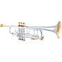 Bach 180S Stradivarius 37 Bell Custom Series Professional Bb Trumpet Silver plated