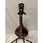 Vintage Gibson 1915 A4 Mandolin Antique Amber