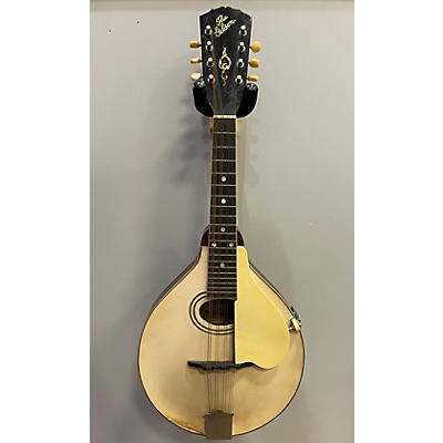 Gibson 1920 A-3 Mandolin