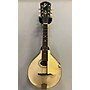 Vintage Gibson 1920 A-3 Mandolin White