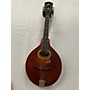 Vintage Gibson 1920 H-2 Mandolin Sunburst