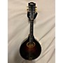 Vintage Gibson 1920s A1 A-1 Mandolin Resonator Guitar Sunburst