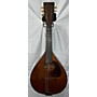 Vintage Martin 1920s AK Mandolin Antique Natural