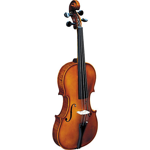 193W BH Concert Violin Outfit