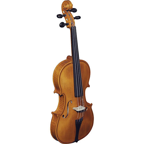 193W Concert Series Violin Outfit