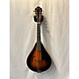 Vintage Martin 1950 2-15 Mandolin Mandolin Sunburst