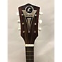Vintage Kay 1960s N/A Acoustic Guitar 3 Tone Sunburst