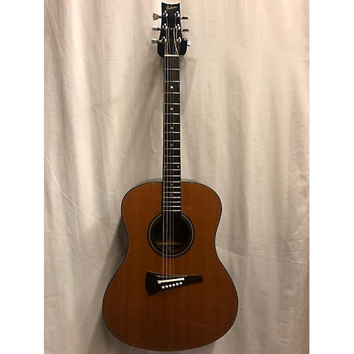 1970 gibson acoustic guitar