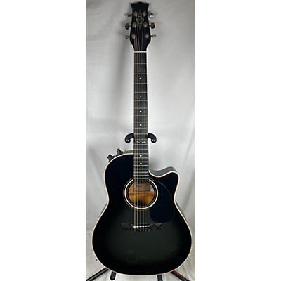 Alvarez 1984 5087 Acoustic Guitar