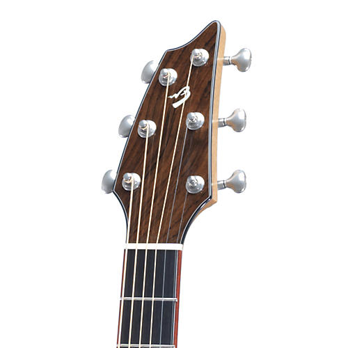 2012 Spring Limited Edition Acoustic-Electric Guitar