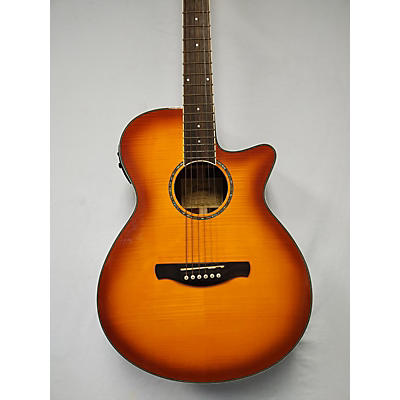 Ibanez 2020s AEG2011 Acoustic Electric Guitar