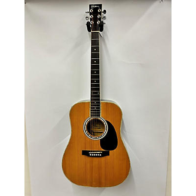 Elezan 2020s AL-100 Acoustic Electric Guitar