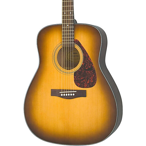 Acoustic Guitars